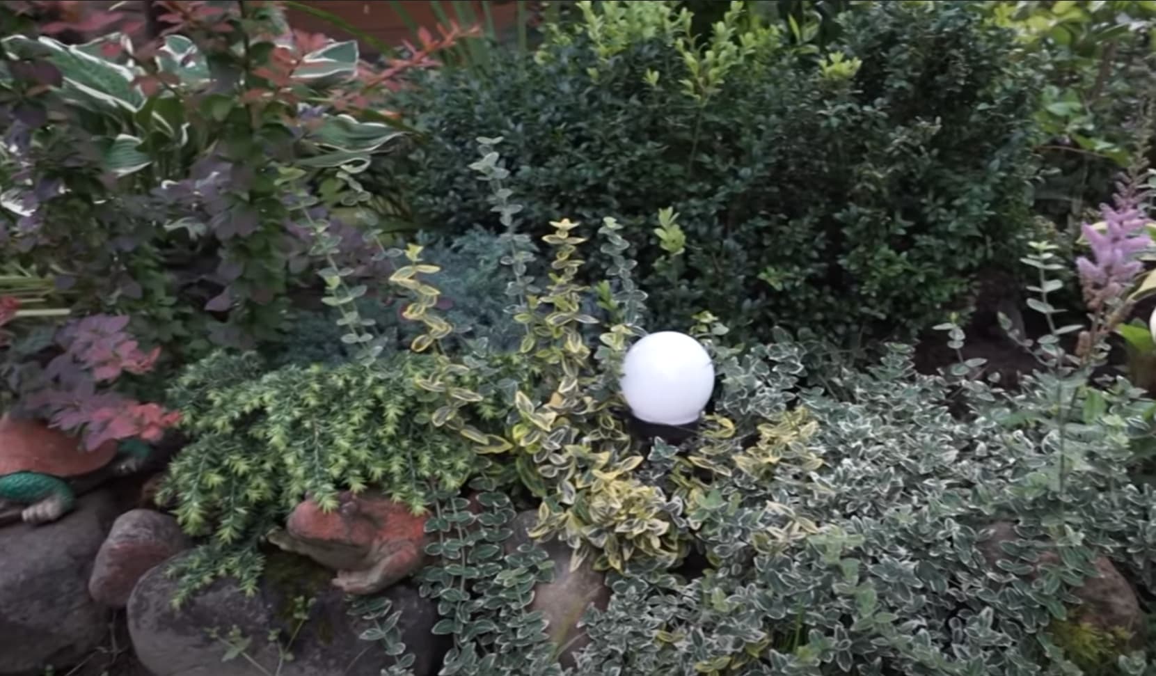 Хвойные растения в композиции альпийской горки