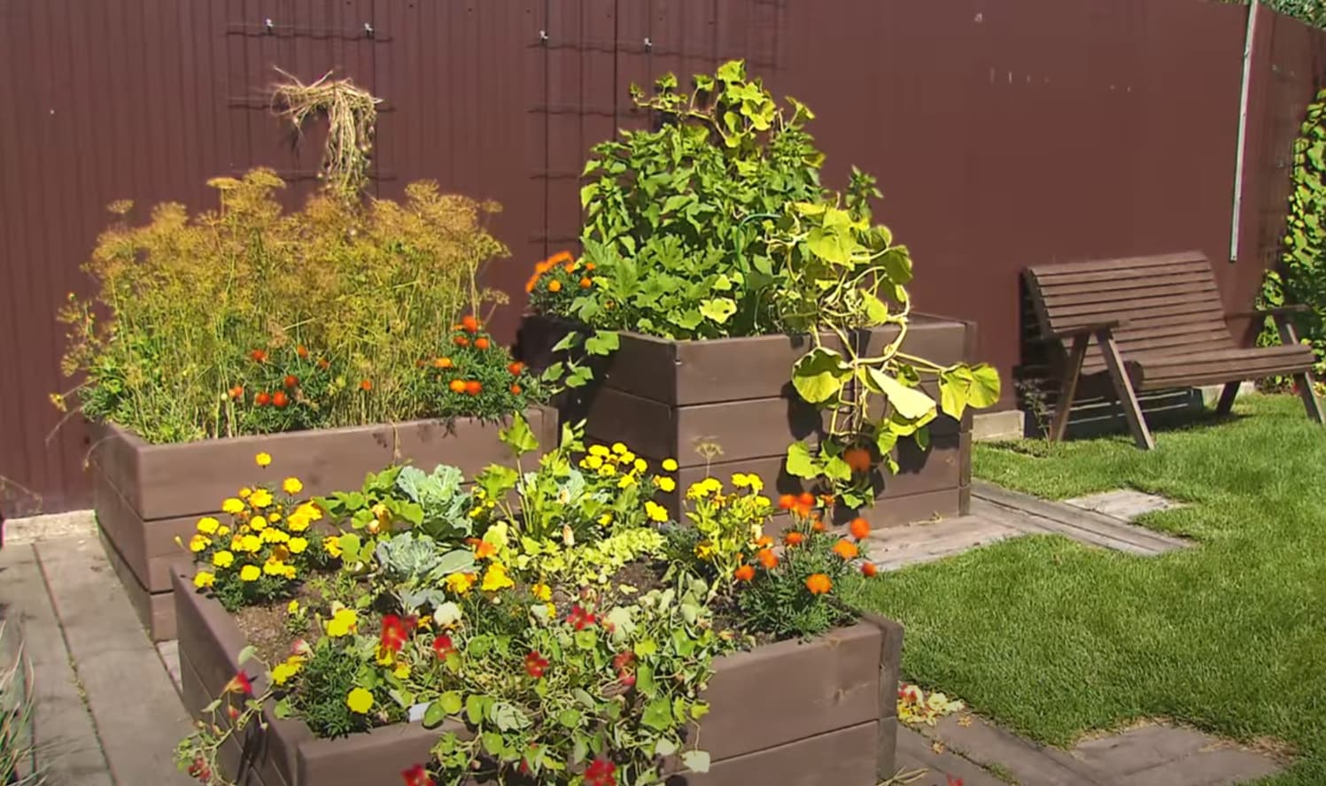 Огород в ящиках и контейнерах