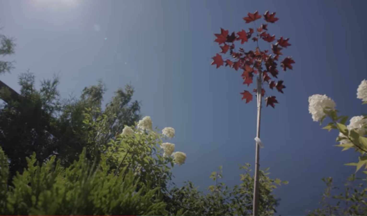 Садовая композиция: объём и ярусы