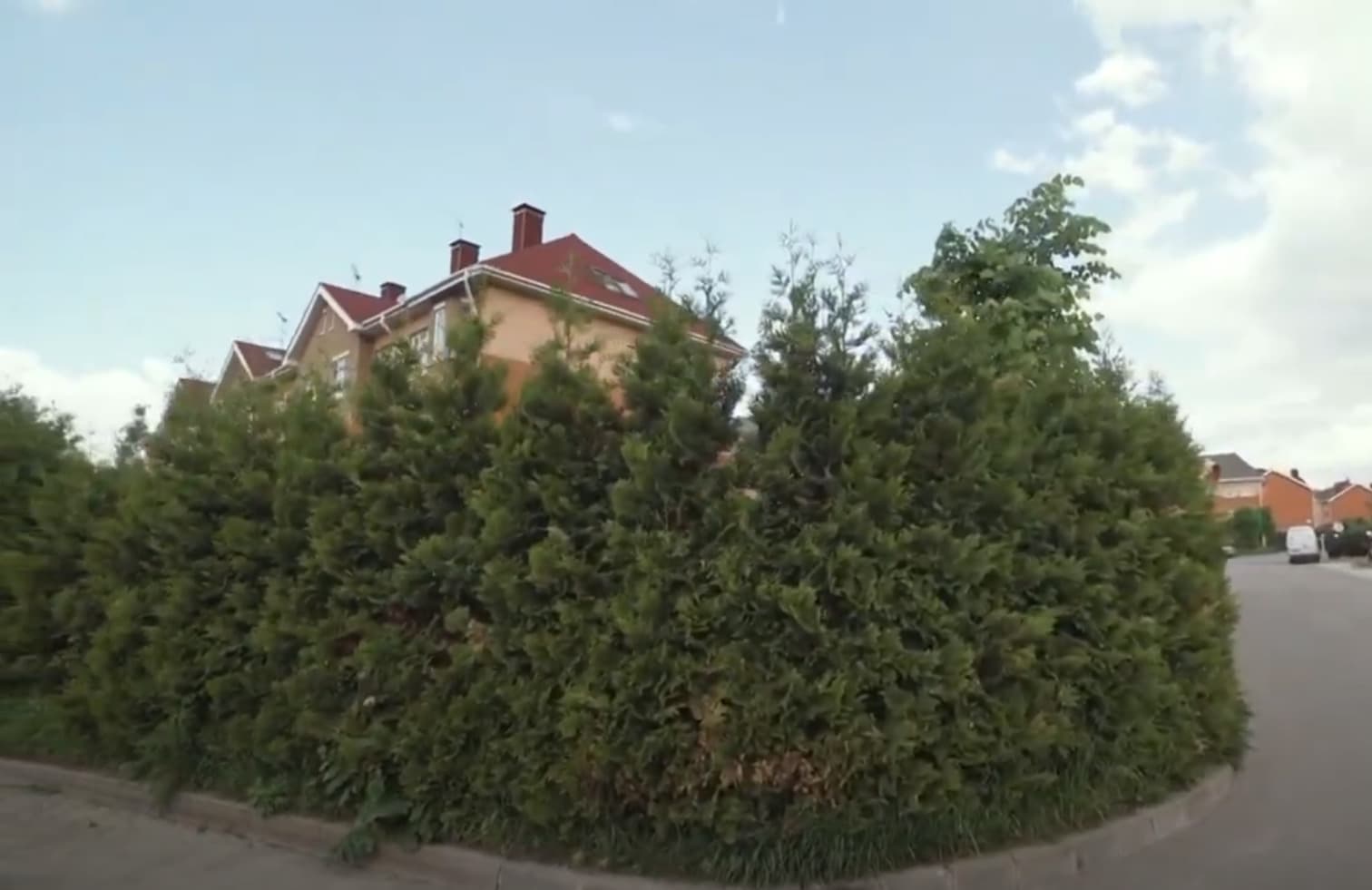 Туи в ландшафтном оформлении