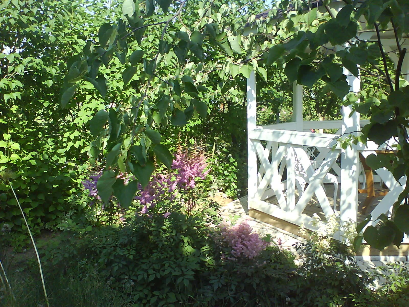 Обрезка растений на дачном участке