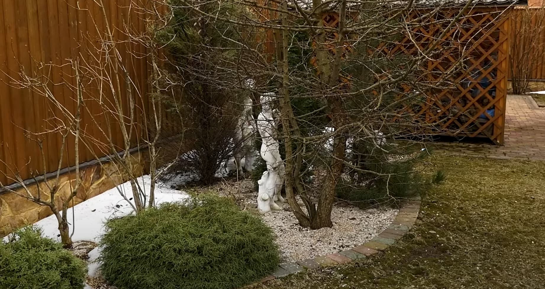 Формирующая обрезка кустарников