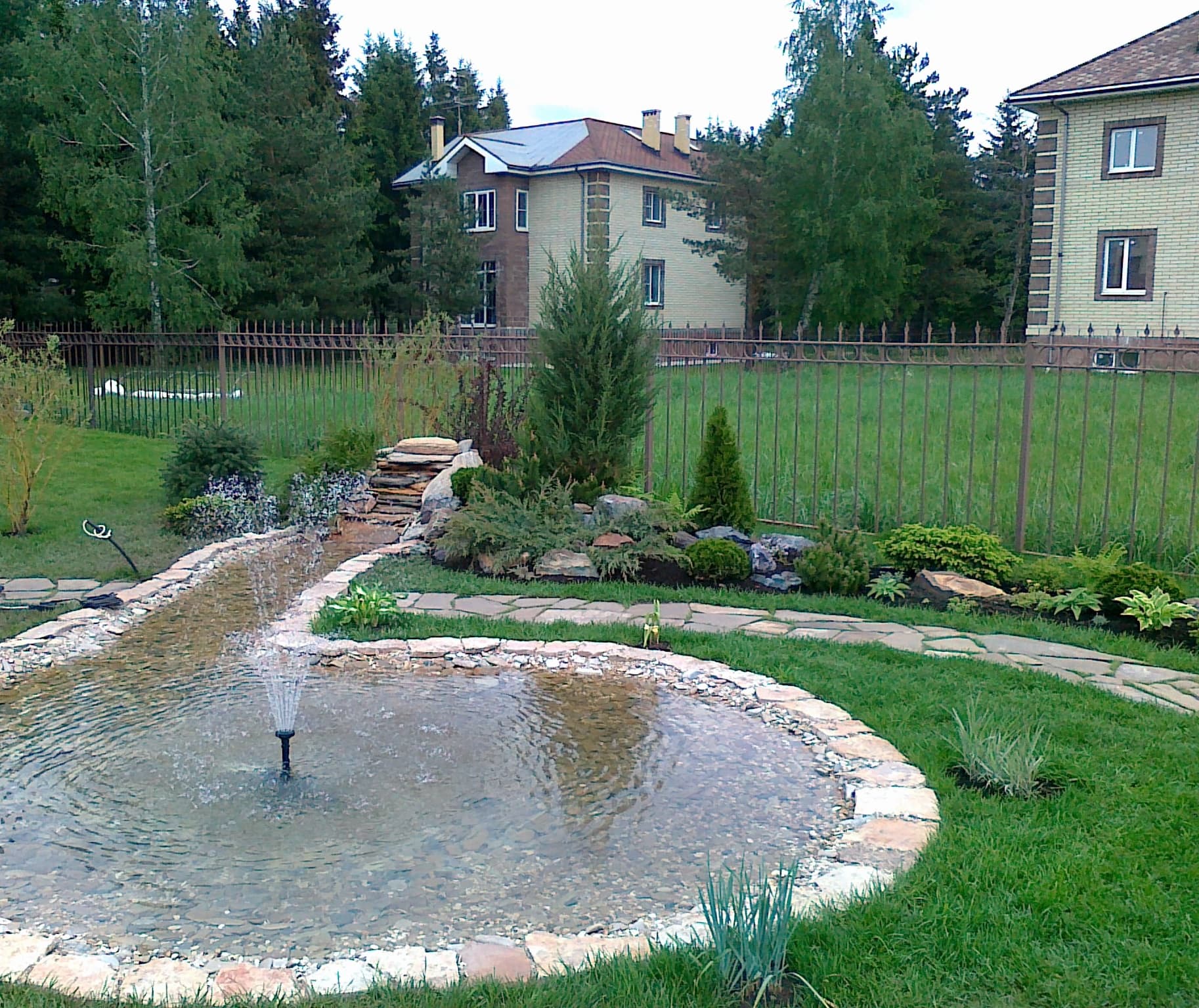 Водоём и растения