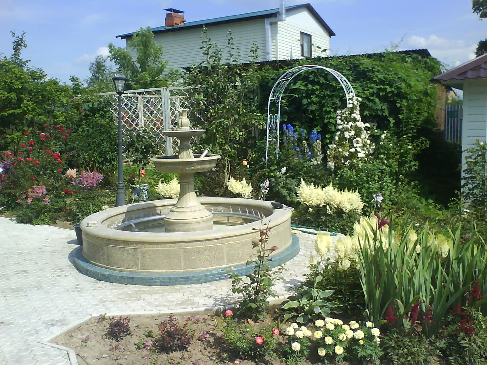 Живая изгородь и секреты её обустройства