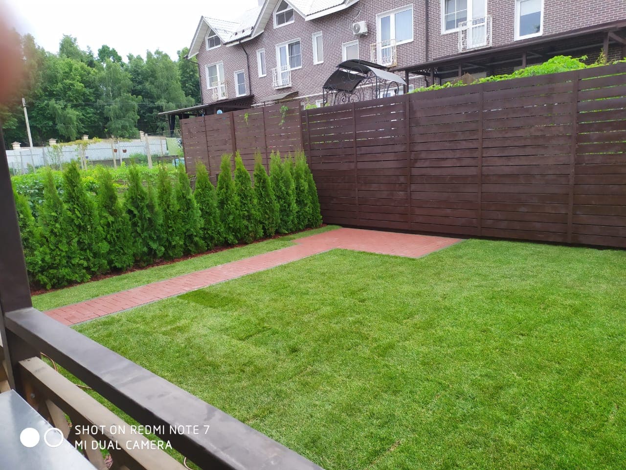 Туи смарагд вдоль забора