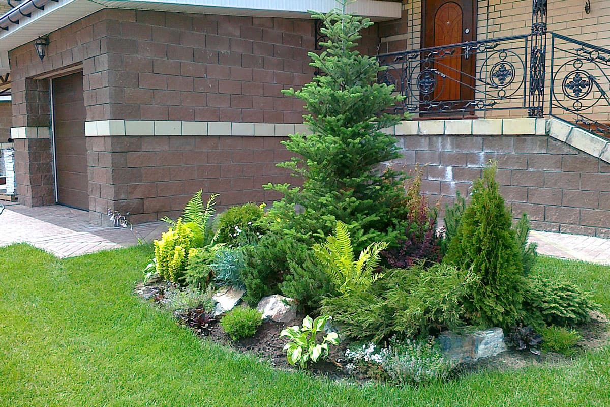 Посадка деревьев и кустарников