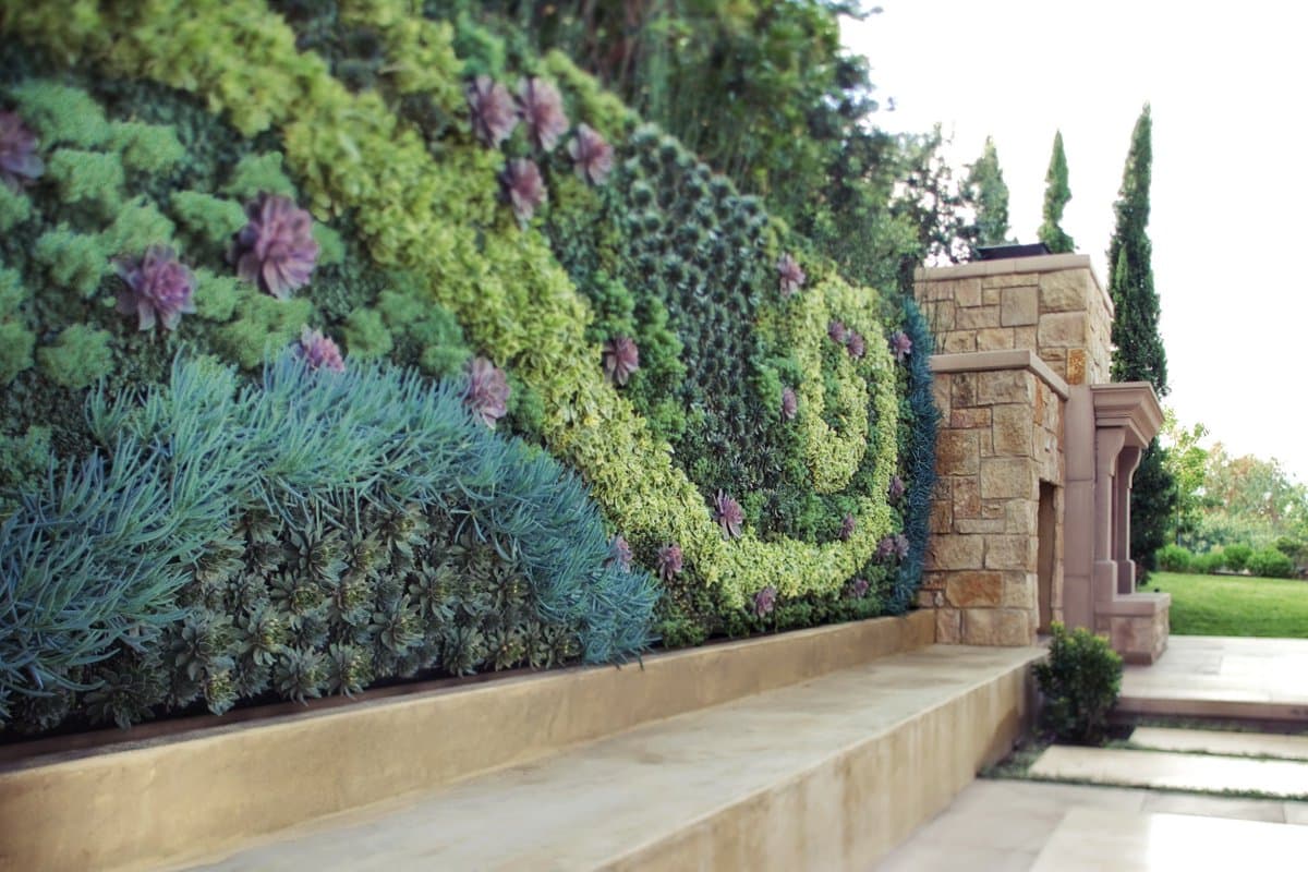 Вертикальное озеленение